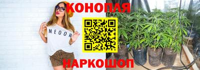эйфоретик Сланцы