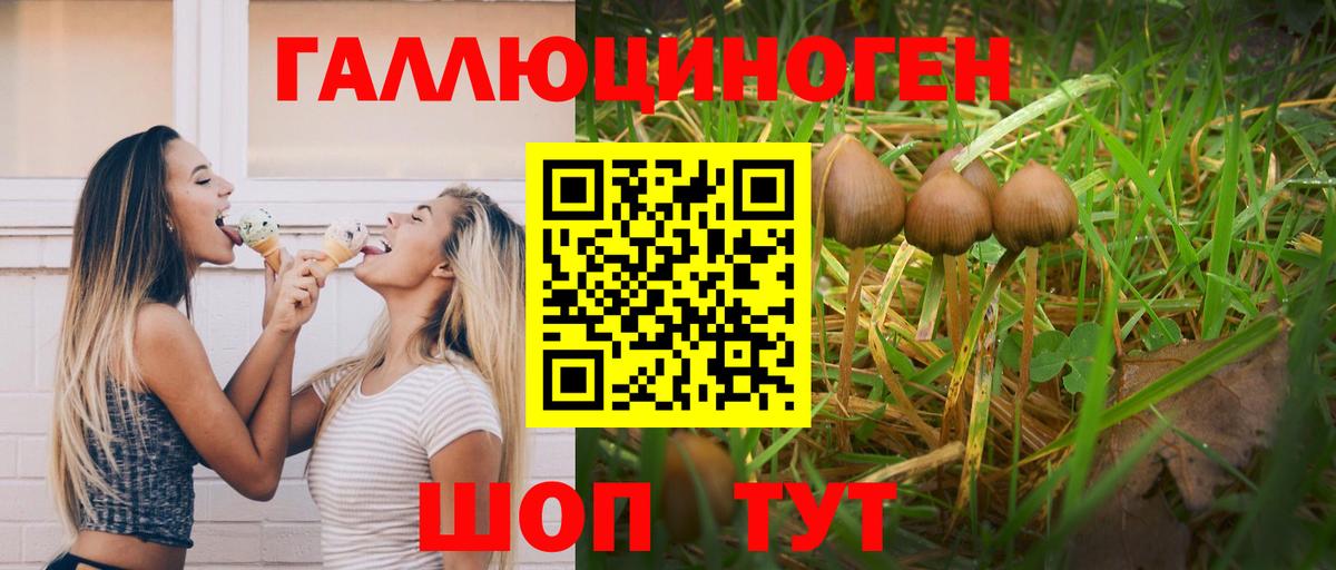 Галлюциногенные грибы прущие грибы Орёл